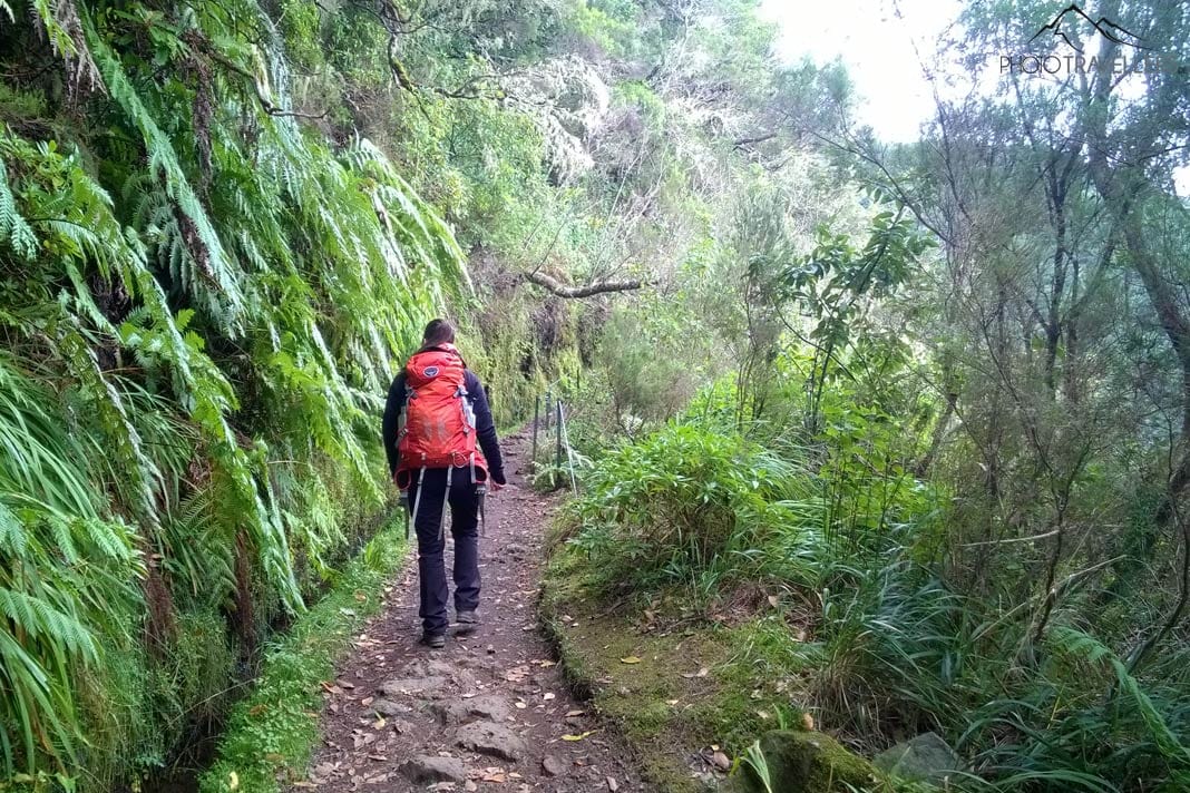 Wir laufen an der Levada entlang