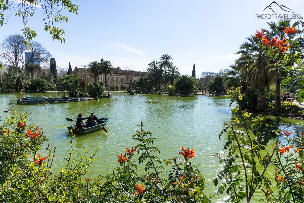 Ein Ruderboot auf einem Teich im Parc de la Ciutadella