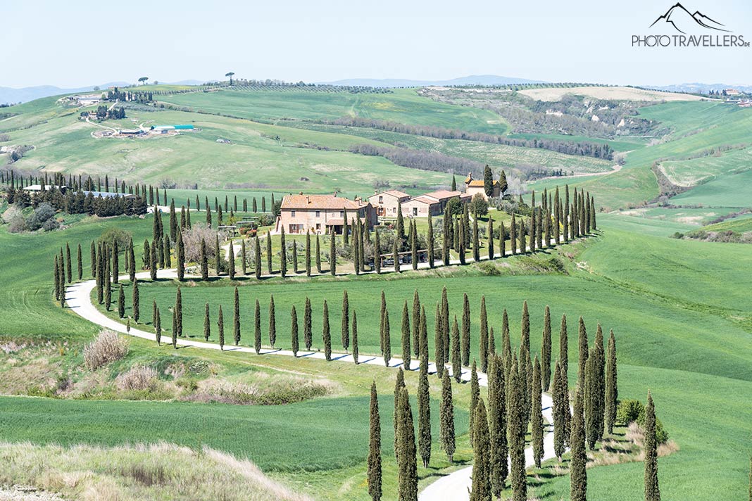 Die Zypressenallee zum Agriturismo Baccoleno im Val D'asso