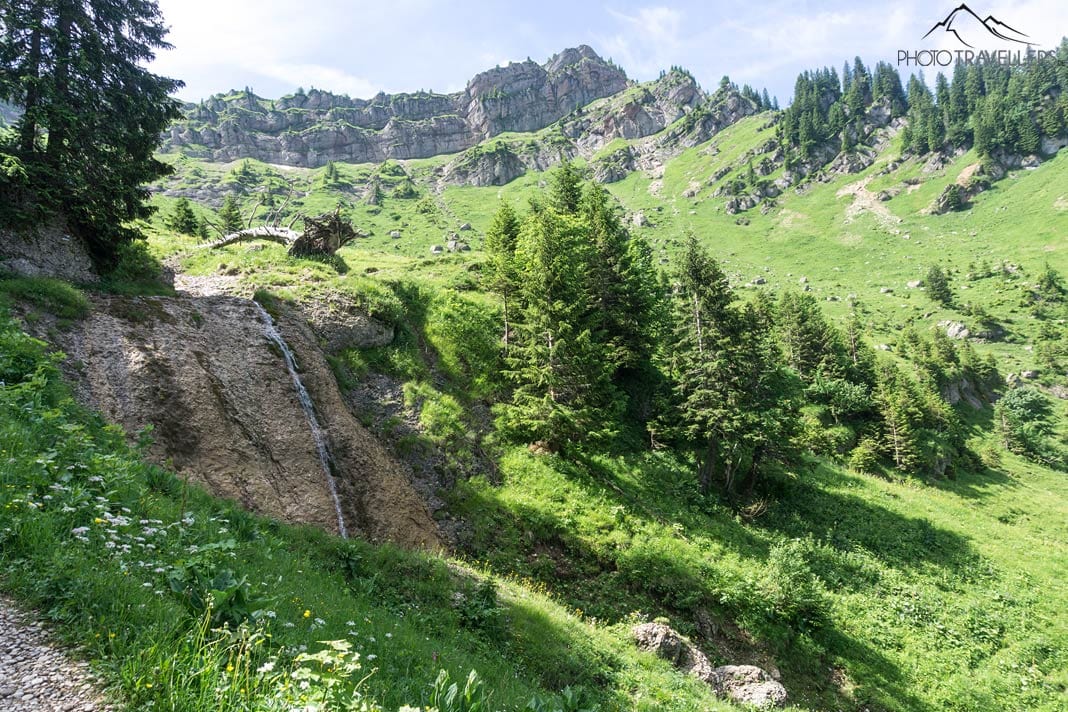 Blick auf die Nagelfluhkette