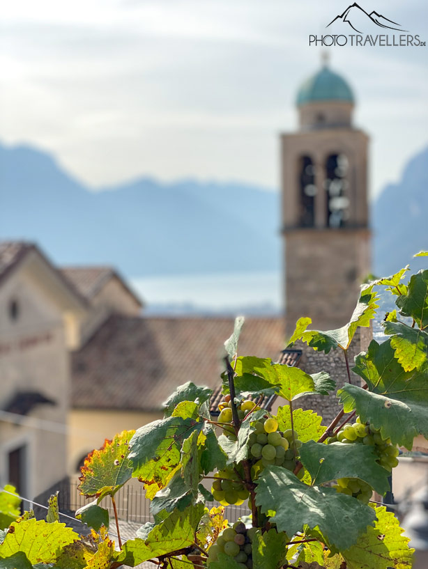 Blick von Acetaia Balsamicoen Gardasee