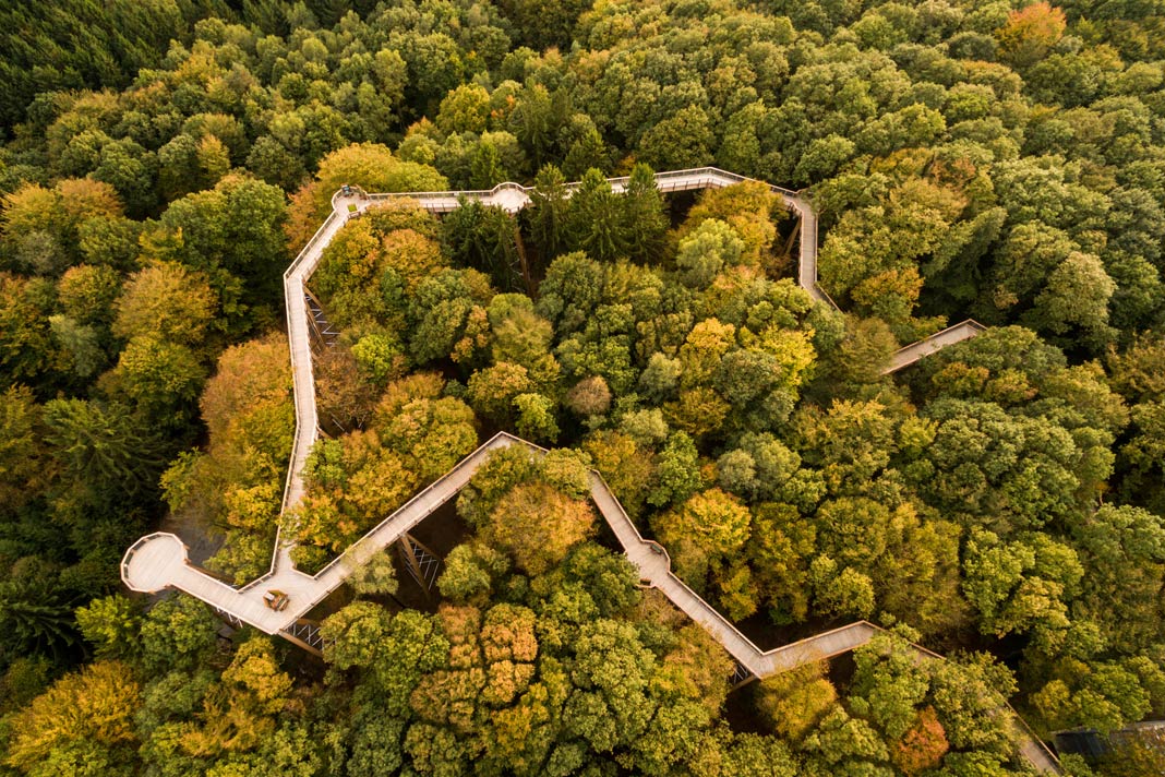 Der Kölner Baumwipfelpfad aus der Luft