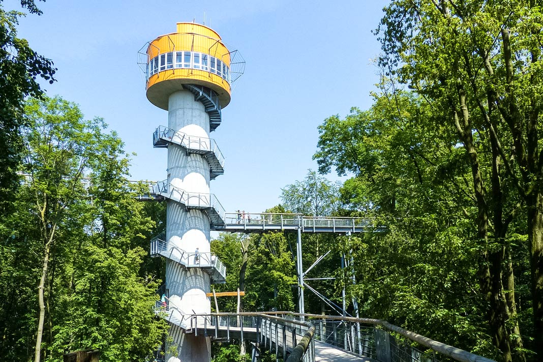 Der Baumkronenpfad im Nationalpark Hainich