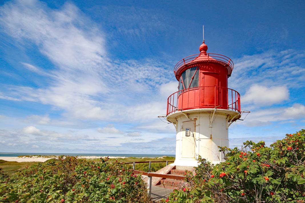 Die Insel Amrum mit Dünen und Leuchtturm