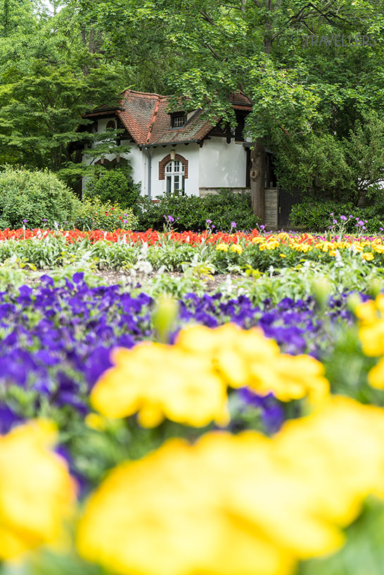 Buntes Blumenbeet im Clara Zetkin Park