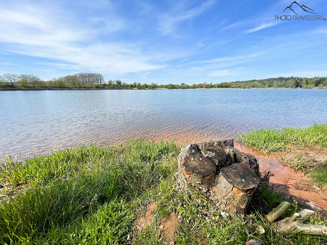 Blick vom Ufer auf den See Losheim