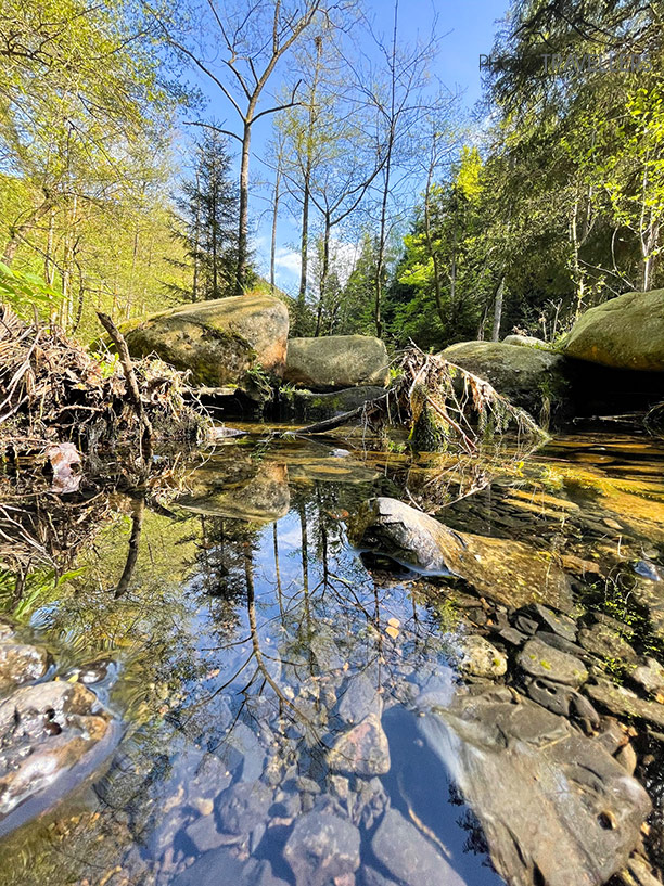 Die Verlobungsinsel in der Oker ist ein begehrter Picknick-Platz für Familien im Harz