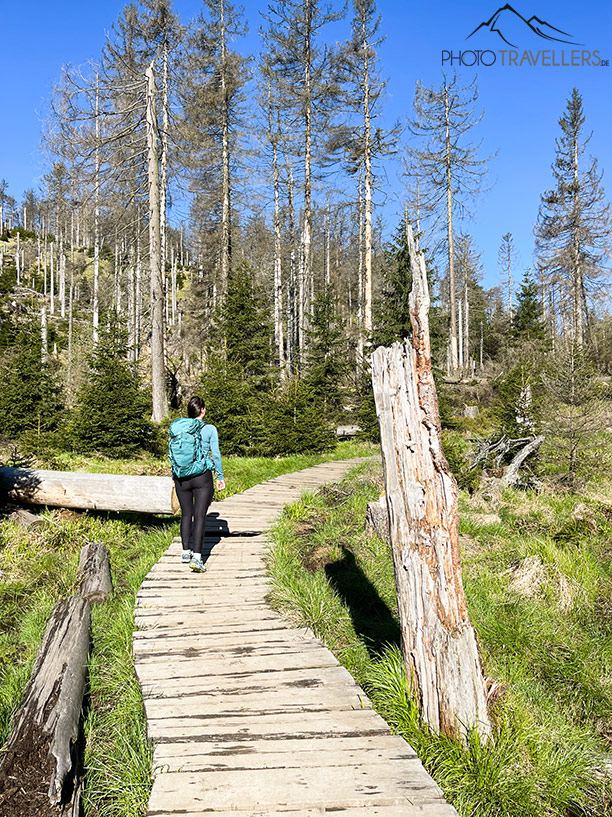 auf Stegen durch das Feuchtgebiet Eckerloch