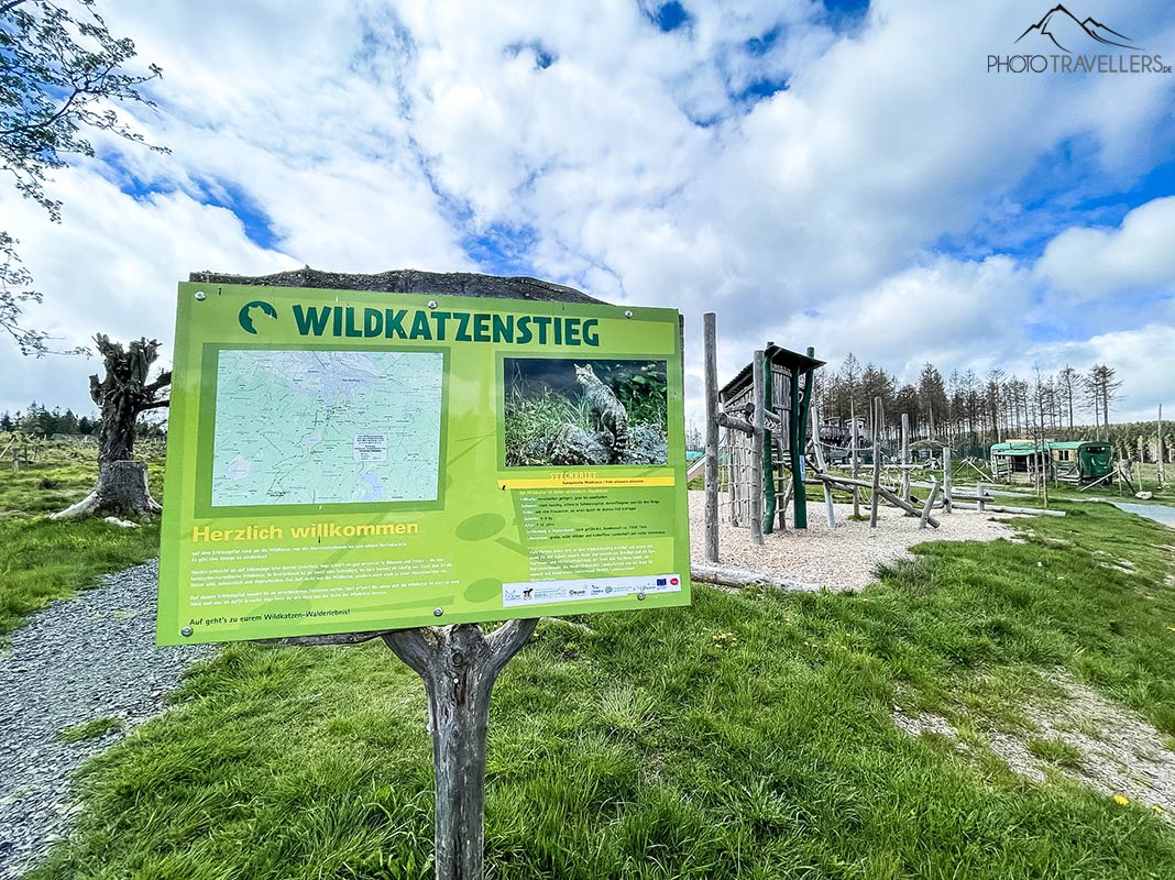 Der Wildkatzenstieg bei Bad Harzburg ist für Kinder super geeignet