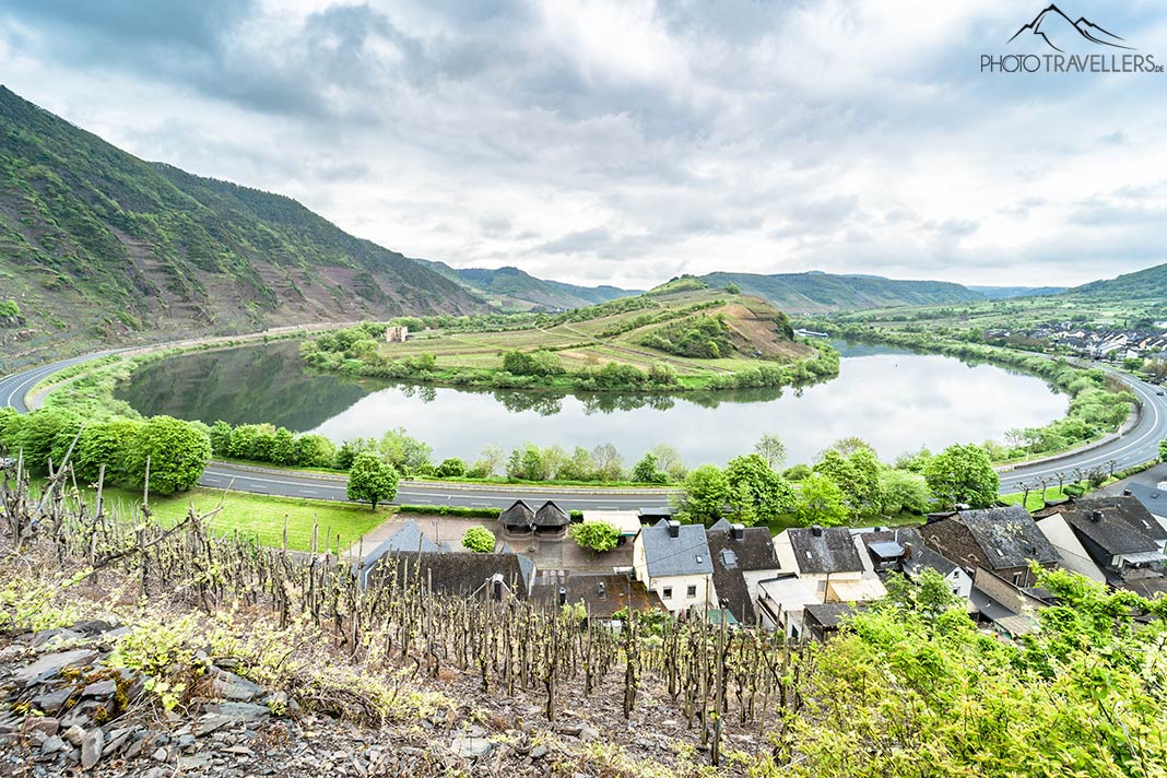 Blick von oben auf die Moselschleife Bremm