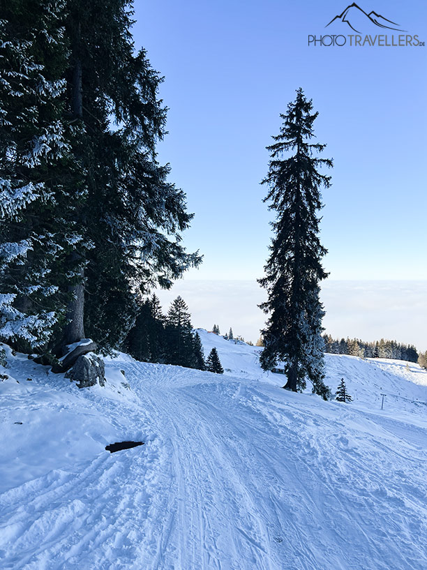 Die Rodelstrecke von der Kampenwand ins Tal