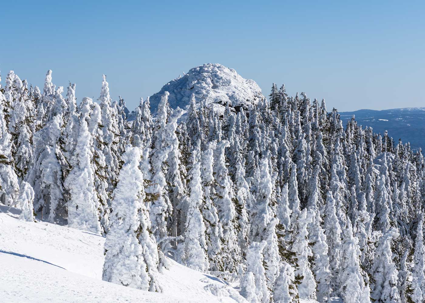 Alle Infos zur Wanderung auf den Großen Arber im Winter