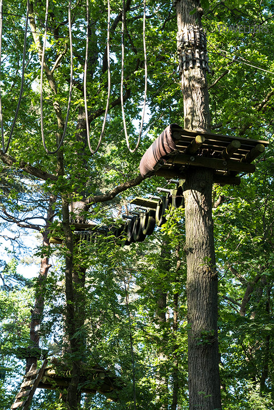 Kletterwald für Kinder