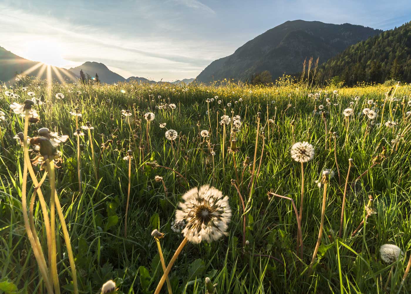 Berge in Bayern mit Kindern: Reisetipps für Familien