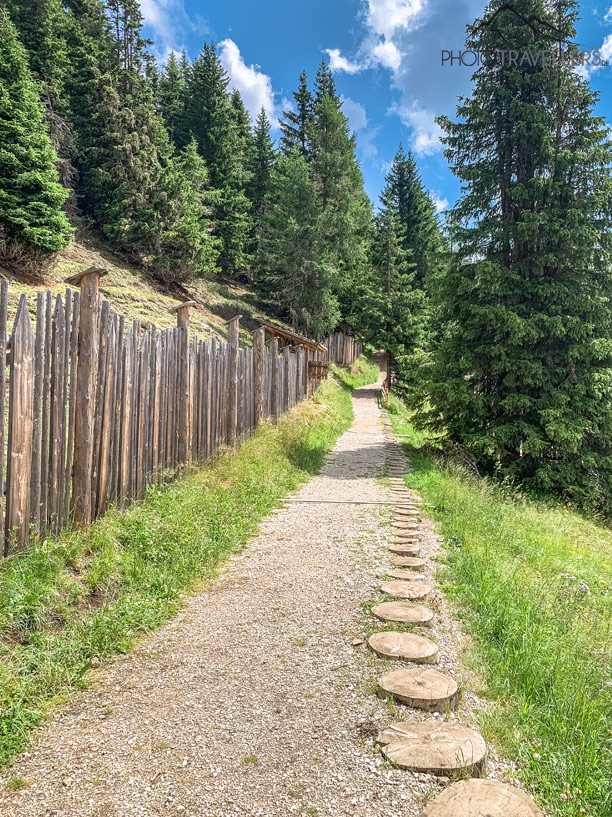 Blick auf den Pfad im Erlebnispark Olpers Bergwelt